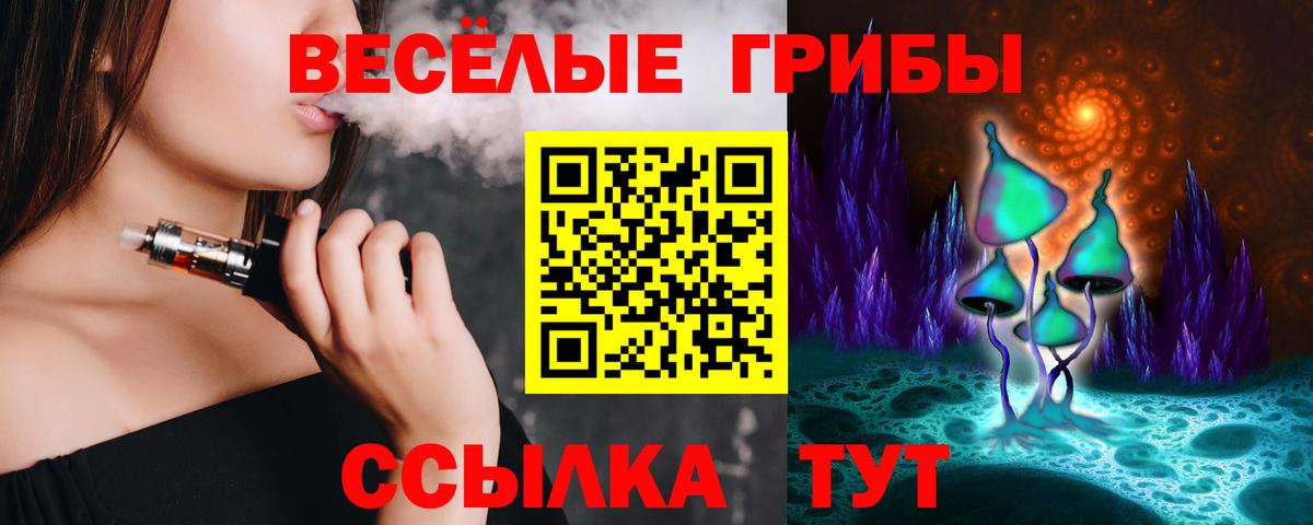 Химки  Псилоцибиновые грибы мицелий  что такое наркотик  Вход с VPN 